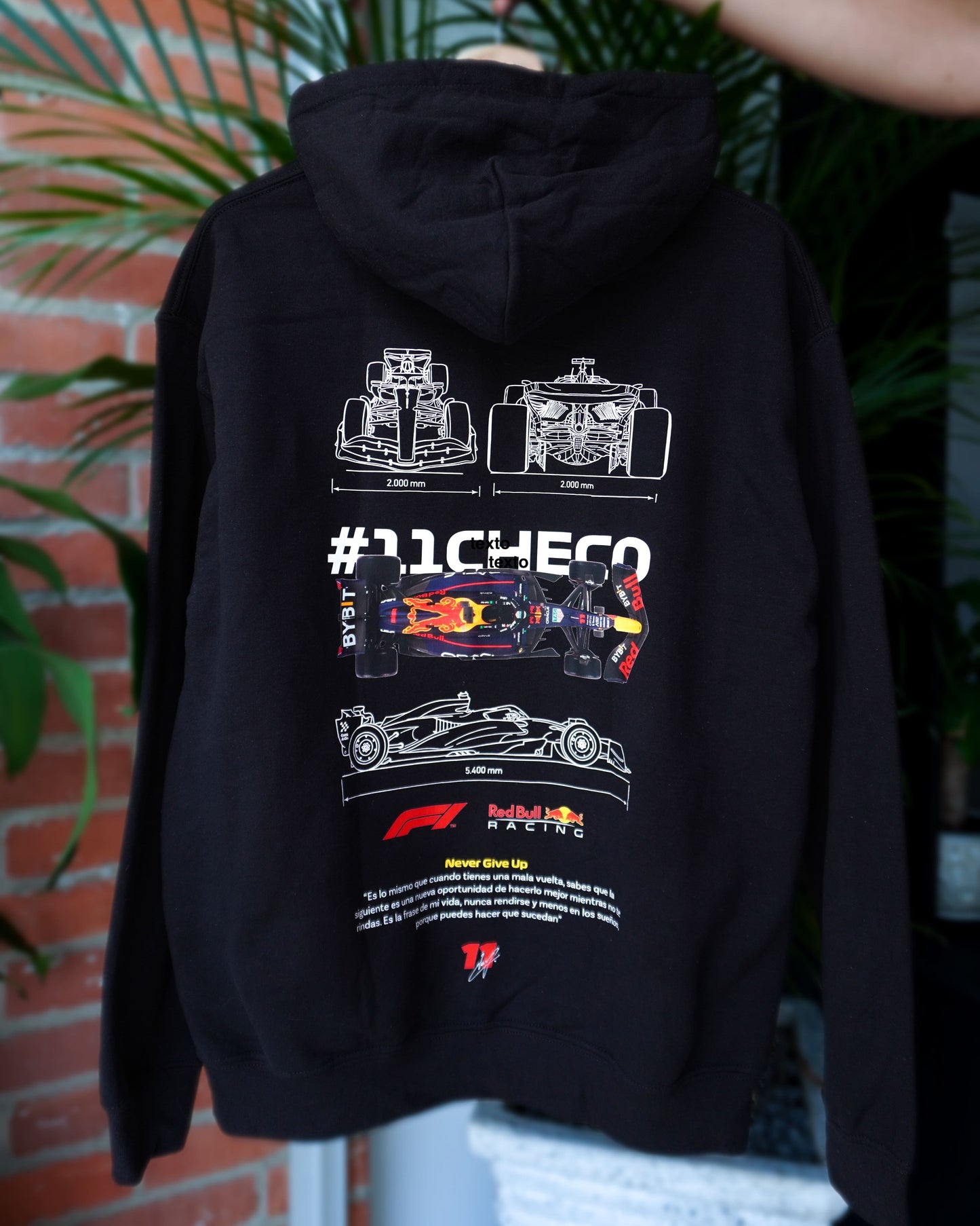 Checo Perez hoodie